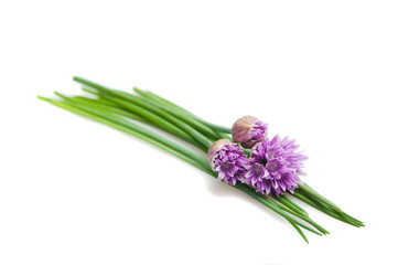 Chives flowers