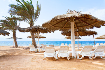 coral bay beach in Aqaba