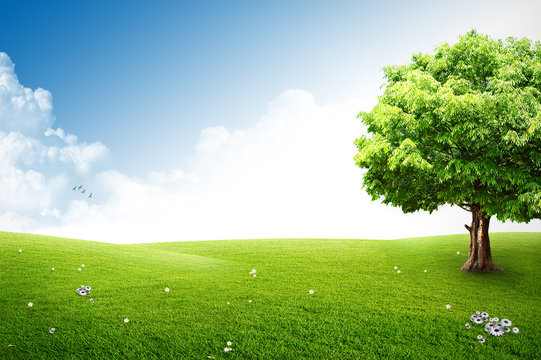 Solitary Tree On Grassy Hill And Blue Sky With Clouds