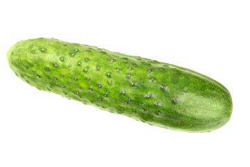 Green fresh cucumber