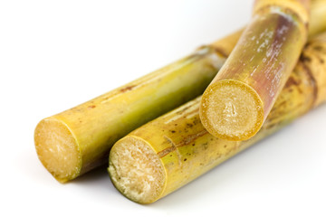 Zuckerrohr , freisteller