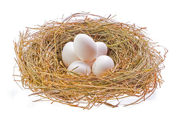 Nest with Easter eggs