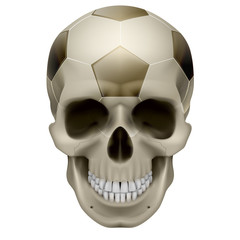 Human Skull