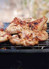 barbecue meat
