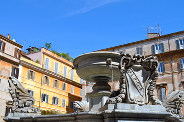Fototapeta premium Particolare della Fontana di Piazza Santa Maria in Trastevere
