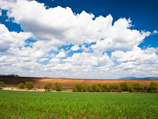 green field background