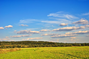 Summer landscape