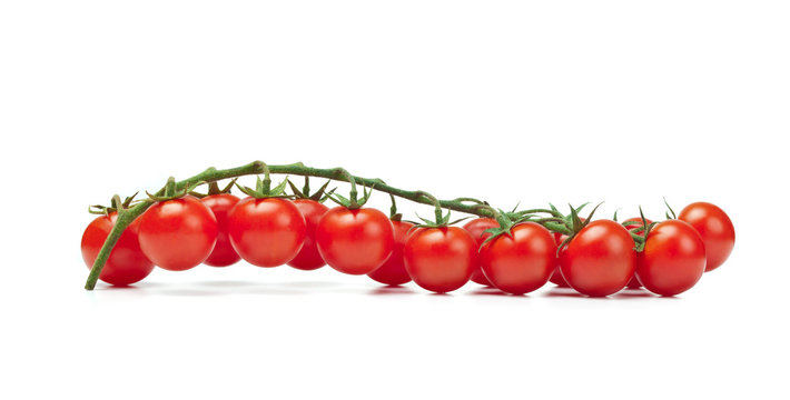 Tomatoes