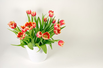 Tulpenstrauß