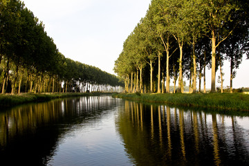 Bruges Canal and Trees