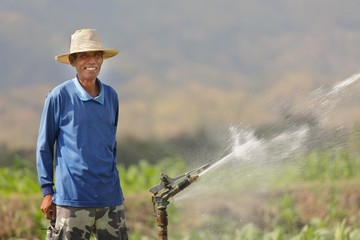 asian farmer watering tobacco field