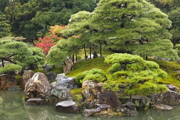 japanese zen garden