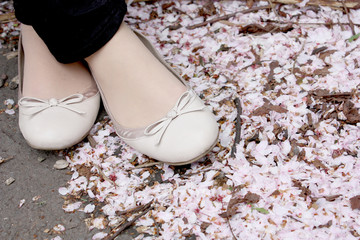 Romantic walk on pink blossom