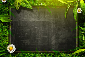 Nature Blackboard