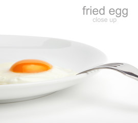 fried egg on plate