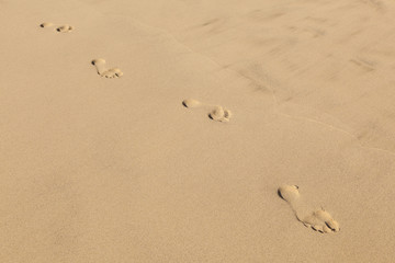 Fototapeta na wymiar human footsteps at the clean sandy beach