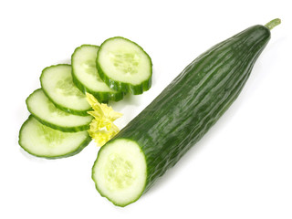 Salatgurke