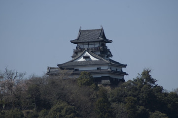 Naklejka premium Inuyama Castle, Japan