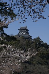 Inuyama Castle, Japan