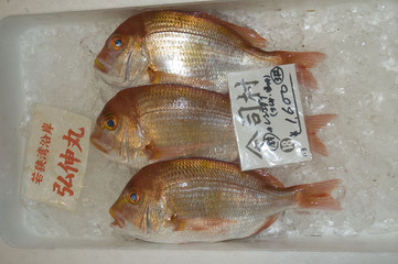 Fish, seafood market, Japan