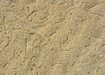 Background of beach crab markings