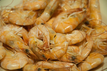seafood shrimp
