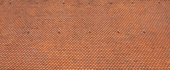 Texture of a red roof