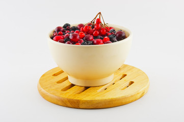 Cranberry and blueberry fruit in a bowl