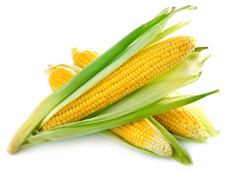 An ear of corn isolated on a white background © Maks Peoplenko