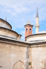 Fototapeta na wymiar domes and minaret of a mosque in Turkey