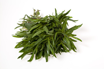 Thyme bunch on white bacground