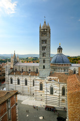 Siena Cathedral (duomo)