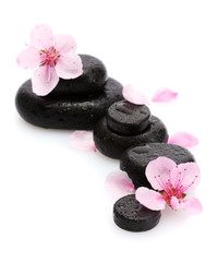 Obraz na płótnie Canvas Spa stones with drops and pink sakura flowers isolated on white.