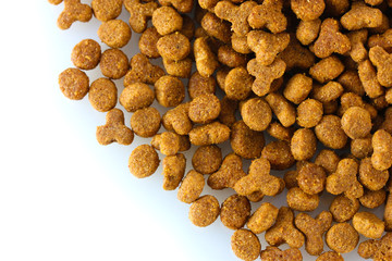 dry cat food isolated on white