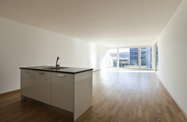 beautiful new apartment, interior, open space