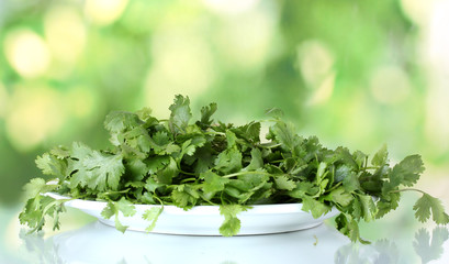 Coriander in a white plate on green background