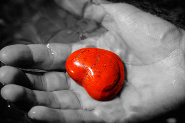 Herz in der Hand