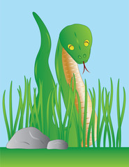 Fototapeta premium Slithering Green Snake