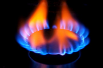 Gas burner flame