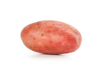 potato isolated on white background close up