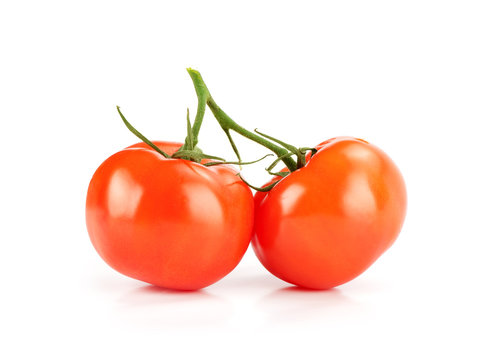 Close-up photo of tomatoes