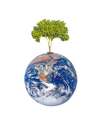 Planet earth as symbol of nature conservation.Elements of this i