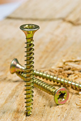 Group of screws on a wooden surface