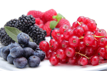 frutti di bosco mirtilli e ribes su sfondo bianco