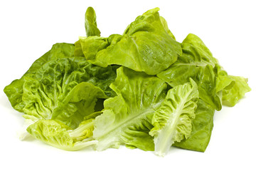 Leaf fresh lettuce