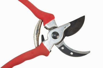 Secateurs for the garden works   in working situation