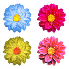 Pattern flowers