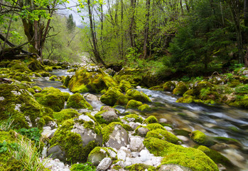 River and rocks