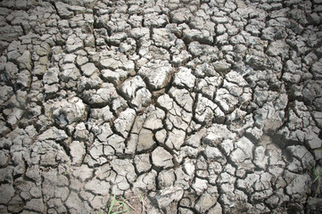 dried ground covered with cracks. background for design