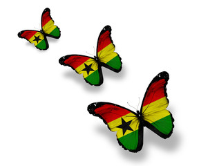 Three Ghana flag butterflies, isolated on white